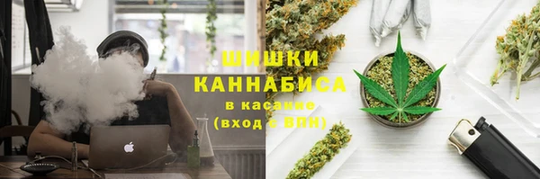 винт Армянск