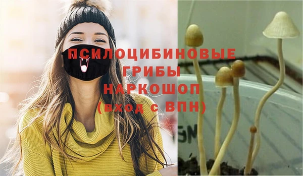 винт Армянск