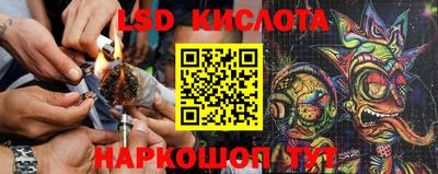 ГАЛЛЮЦИНОГЕННЫЕ ГРИБЫ Беслан