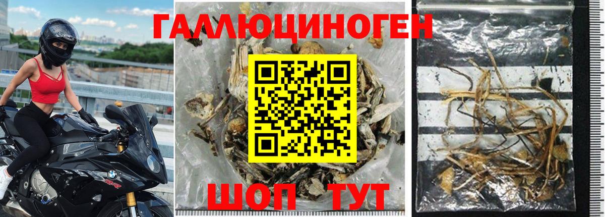 Галлюциногенные грибы Magic Shrooms  Вход с VPN  магазин    Волгодонск 