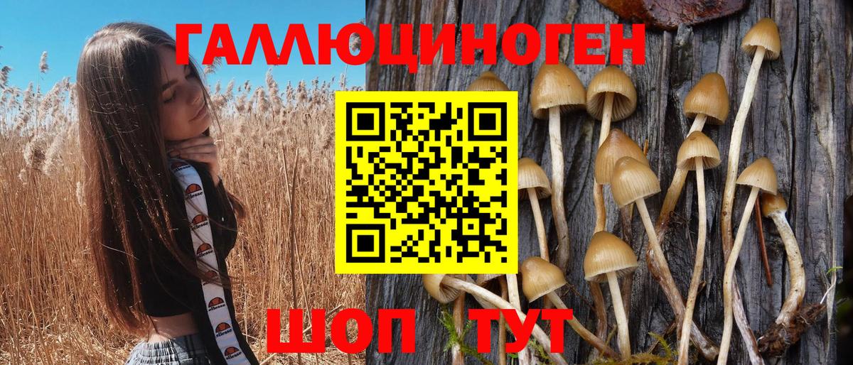 Галлюциногенные грибы Magic Shrooms Волгодонск