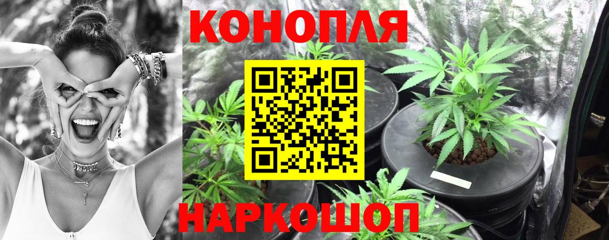 Бошки марихуана индика Волгодонск